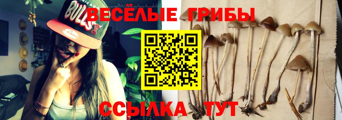 Галлюциногенные грибы GOLDEN TEACHER  Вход с VPN  Калуга 